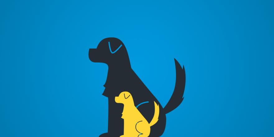 Liskov Substitution Principle